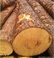 Southen-Yellow-Pine-Suppliers