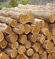 Teak-Wood-Suppliers